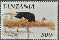 [Birds, type ABZ]