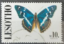 [Butterflies, Scrivi AGY]