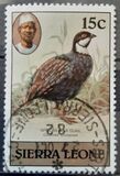 [Birds, tegund FF]