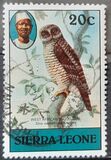 [Birds, tegund FG]