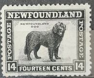 [Newfoundland Issue, ประเภท DV1]