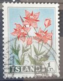 [Flowers, type EK]