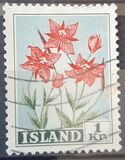 [Flowers, type EK]