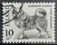 [Fauna - Icelandic Dog and Arctic Fox, tip LN]