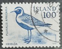 [Birds - Wren, Golden Plover and Raven, type MF]