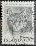 [Domestic Animals, type MT]