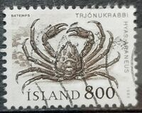 [Marine Life, type OS]
