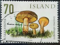 [Wild Mushrooms, type AHI]