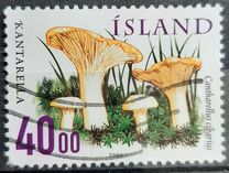 [Edible Mushrooms, type ZS]