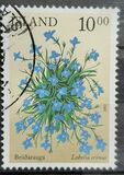 [Summer Flowers, type ACM]