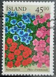 [Summer Flowers, type ACX]