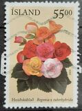 [Summer Flowers, tip ADV]