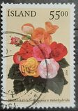 [Summer Flowers, tip ADV]
