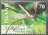 [Insects, type AIL]