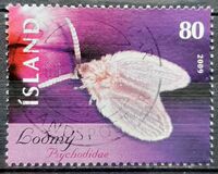[Moth & Spider, type AJX]