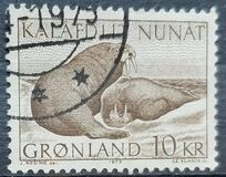 [Walruses, type AR]