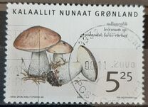 [Edible Mushrooms in Greenland, type MW]