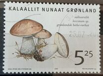 [Edible Mushrooms in Greenland, type MW]