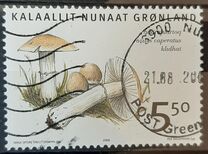 [Edible Fungi, タイプ NW]