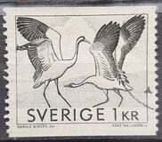 [Canal and Crane Dance, type HK]