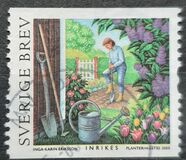 [Summer at the Allotment, Tip BVN]