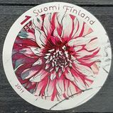 [Flowers - Dahlias, type BQY]