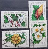 [Flowers, Tipi DG]