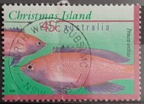 [Fish, type ON]