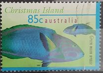 [Fish, type OXX]