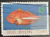 [Fish, ประเภท MM]
