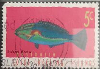 [Fish, type MS]