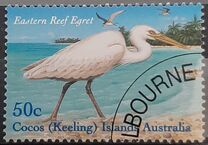 [Shoreline Birds, type OV]