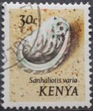[Seashells, type AN]