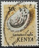 [Seashells, type AN]