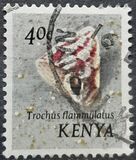 [Seashells, type AO]