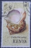 [Seashells, typ AV]
