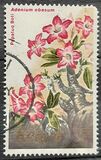 [Flowers, ประเภท IN]