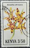 [Orchids, տեսակ VX]