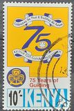 [The 75th Anniversary of Scout Movement in Kenya, Tipi AAP]