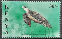 [Marine Turtles, type ABJ]