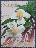 [Scented Flowers, Вид AKD]