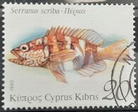 [Fish, Typ XR]