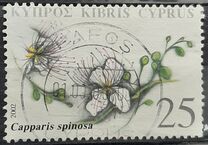 [Therapeutic Plants of Cyprus, Tüüp AER]