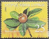 [Fruits of Cyprus, タイプ AHX]