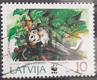 [The Fat Dormouse, тип EX]