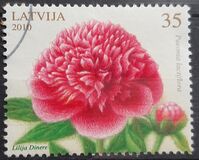 [Flowers - Peony, Tüüp UD]
