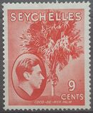 [Local Motives - Double Coconut Palm, 類型 U1]
