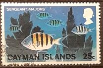 [Underwater Sports, typ JK]