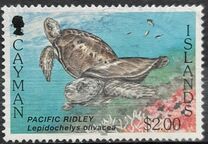 [Sea Turtles - White Frame, 类型 WO]