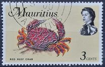 [Marine Life, type EY]
